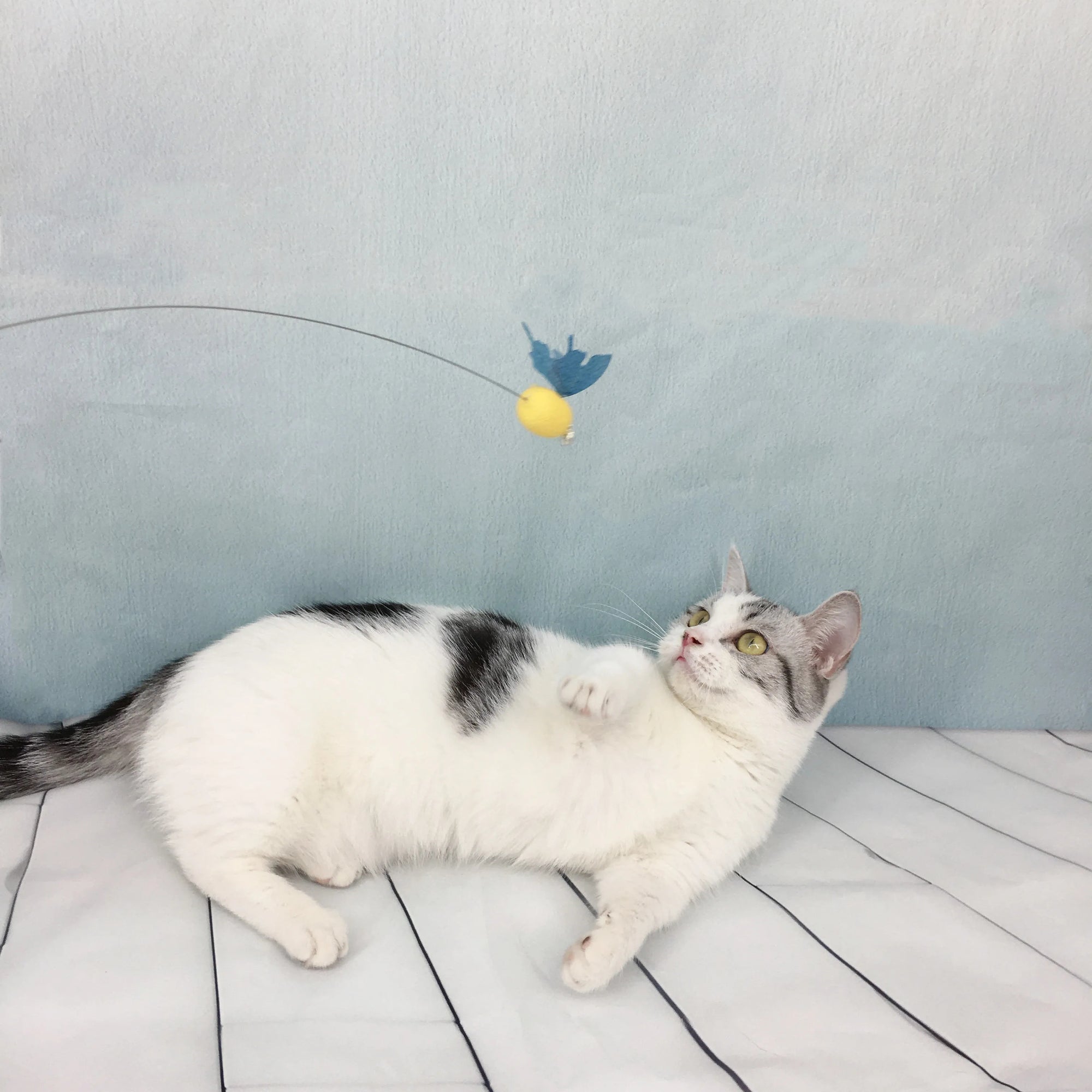 Bee Silk Cocoon Teaser Wand Cat Toy