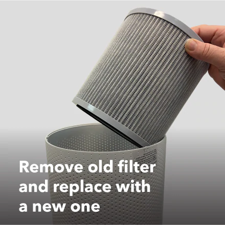TULIP HEPA Filter Replacement