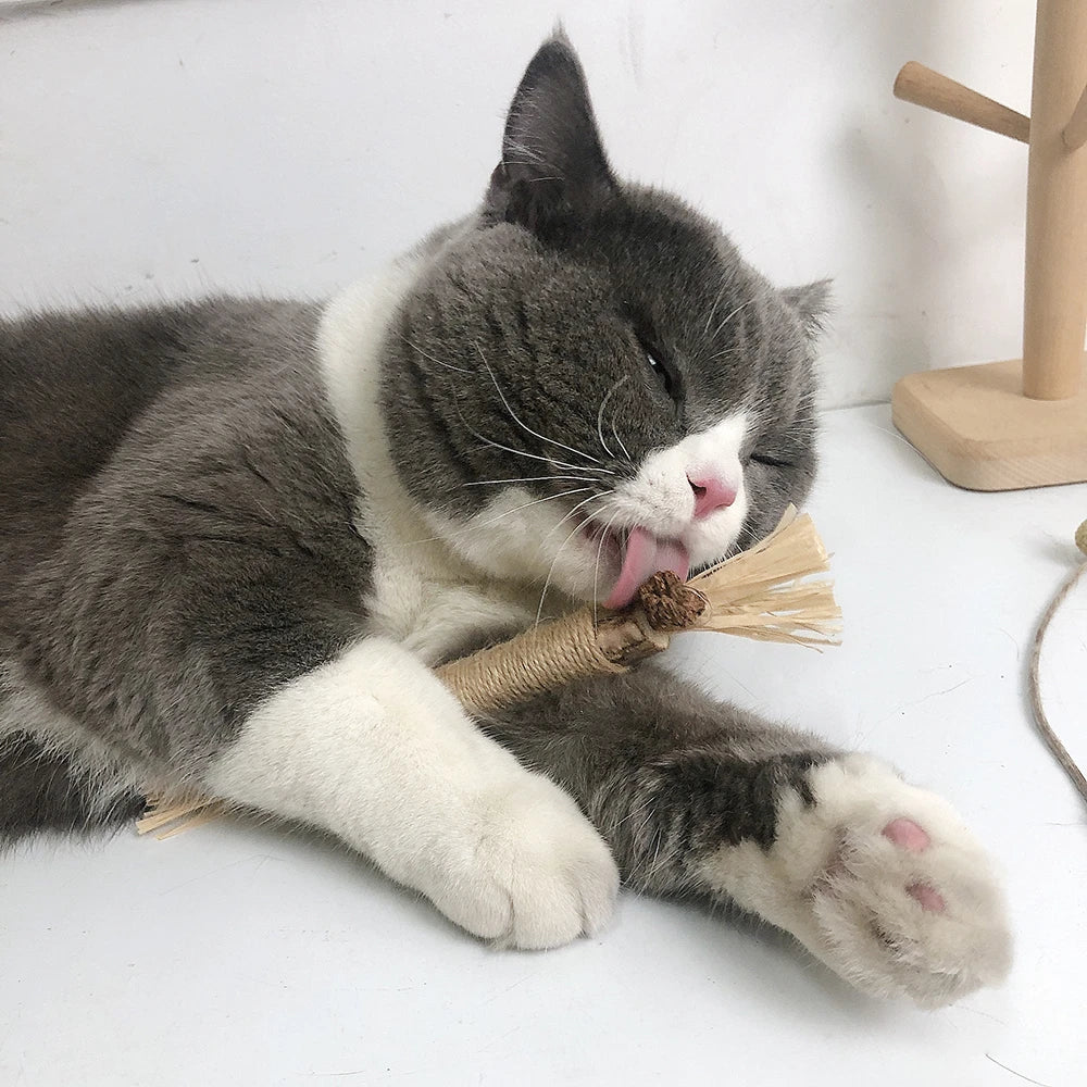 Natural Matatabi Silvervine & Raffia Dental Stick Toy - Single